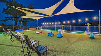 Namhae Spring, Summer, Fall, Winter Pet-