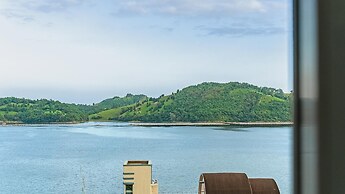 Namhae Spring, Summer, Fall, Winter Pet-