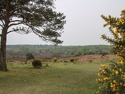 Curlew Cottage