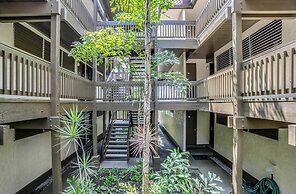 Kona Mansions 5-minute Walk to Honls Beach