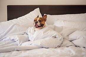 Faranda Express Belvedere