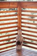 Casa de Praia no Rosa Vista Espetacular