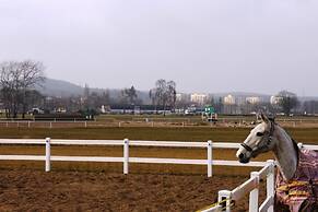 Lion Apartments - Parkur 2