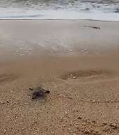 Greenheart Boutique Hotel