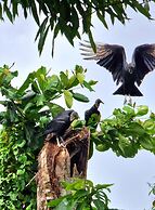 Greenheart Boutique Hotel