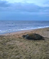 Greenheart Boutique Hotel