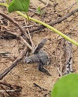 Greenheart Boutique Hotel