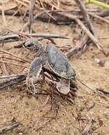 Greenheart Boutique Hotel