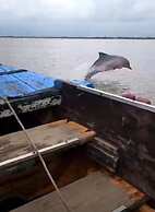 Greenheart Boutique Hotel