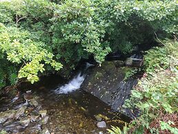 Tyn Llwyn