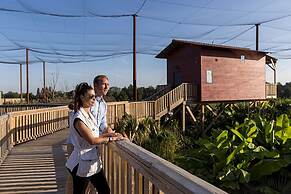 Les Lodges - Parrot World