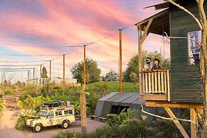 Les Lodges - Parrot World