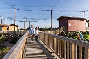 Les Lodges - Parrot World