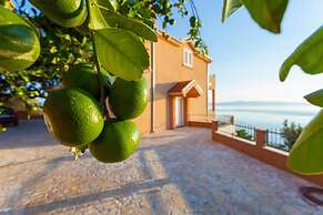 Summerheaven Apartments