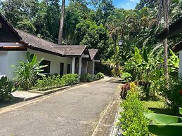 The Delight Pine Tree Village