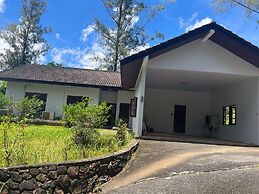 The Delight Pine Tree Village