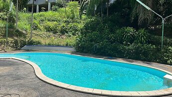 The Delight Pine Tree Village