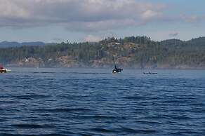 Salty Towers Oceanfront Cottages