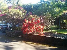 Salty Towers Oceanfront Cottages