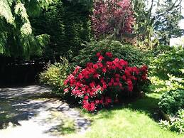 Salty Towers Oceanfront Cottages