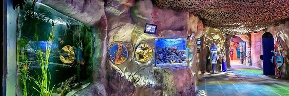 Black Pearl Luxury Apartments