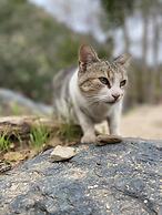 Rancho San Carlos Aguas Termales