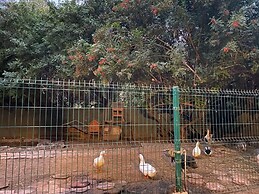 Rancho San Carlos Aguas Termales