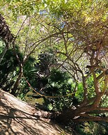 Rancho San Carlos Aguas Termales