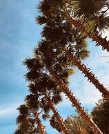 Rancho San Carlos Aguas Termales