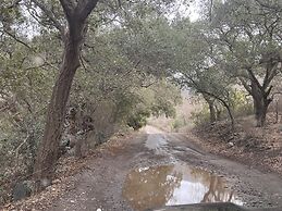 Rancho San Carlos Aguas Termales