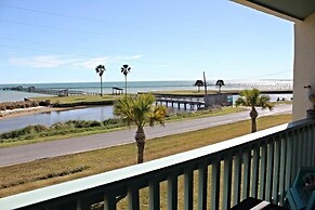 Rrycc #78 - Golden Gull