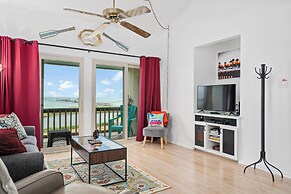 Rrycc #78 - Golden Gull