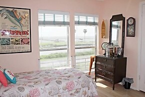 Rrycc #78 - Golden Gull