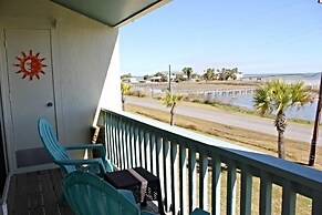 Rrycc #78 - Golden Gull