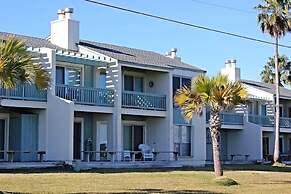 Rrycc #78 - Golden Gull