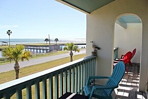 Rrycc #78 - Golden Gull