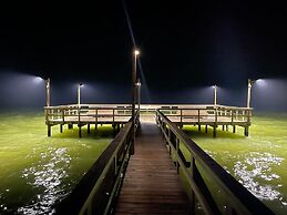 Rrycc #78 - Golden Gull