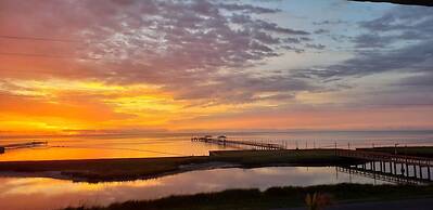 Rrycc #78 - Golden Gull