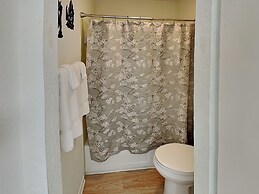 Rrycc #78 - Golden Gull