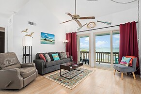 Rrycc #78 - Golden Gull