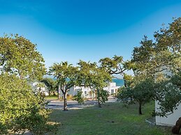 Rrycc #78 - Golden Gull