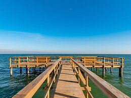 Rrycc #78 - Golden Gull