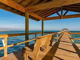 Rrycc #78 - Golden Gull