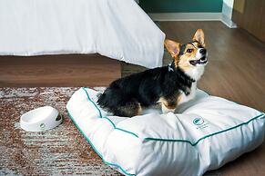 Element Reno Experience District