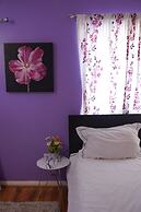 House Near Cardiff City Centre