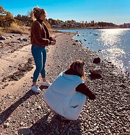Surfviken