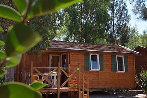 Camping Tikayan Les Palmiers