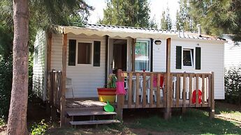 Camping Tikayan Les Palmiers