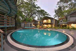 Arova Woods Zinc Journey by The Fern