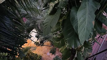 Hotel B&B - 5th Avenue